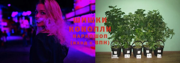тгк Вяземский