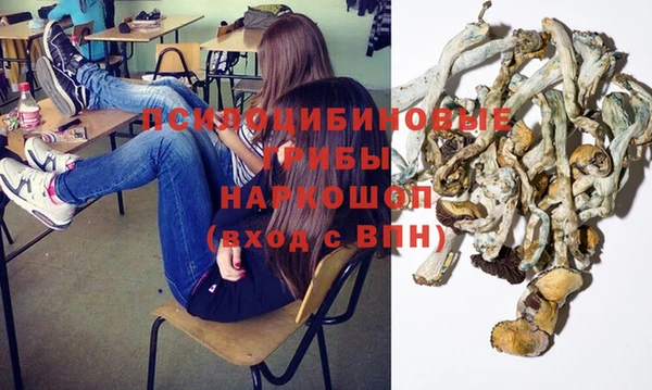 тгк Вяземский